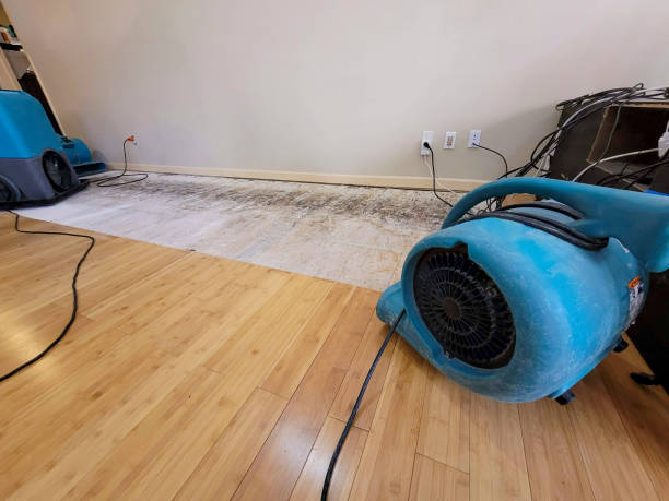 Professional Water Extraction technician working in West Olive, MI